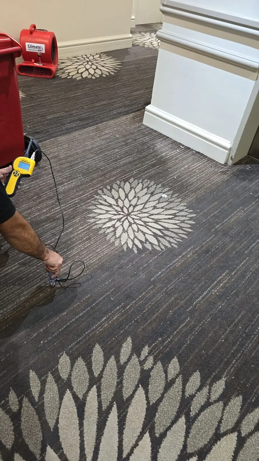 Carpet readings along an upper-floor corridor.