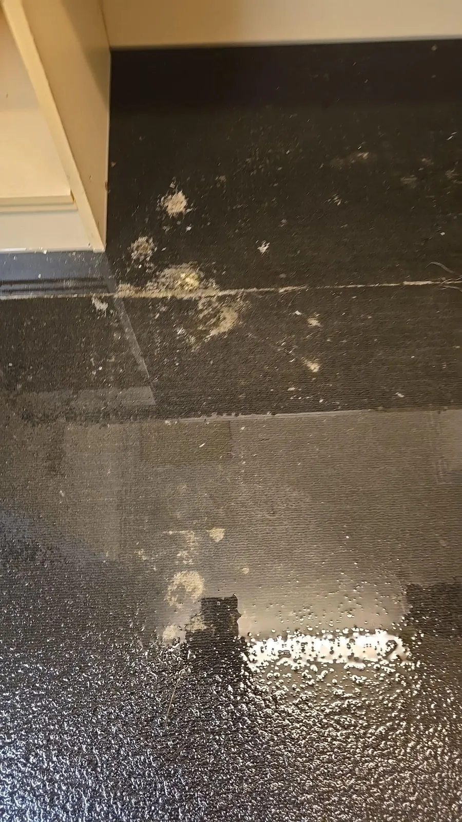Water sitting on the carpet in the events office.