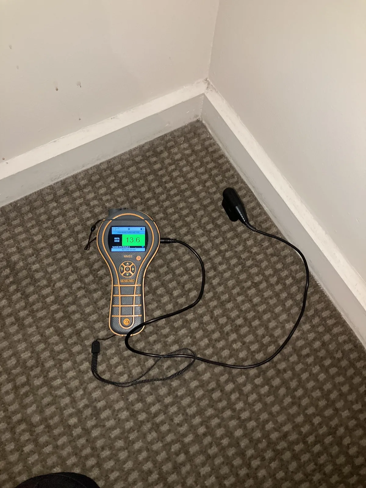 Follow-up carpet check at the skirting in a Level 5 guest room.