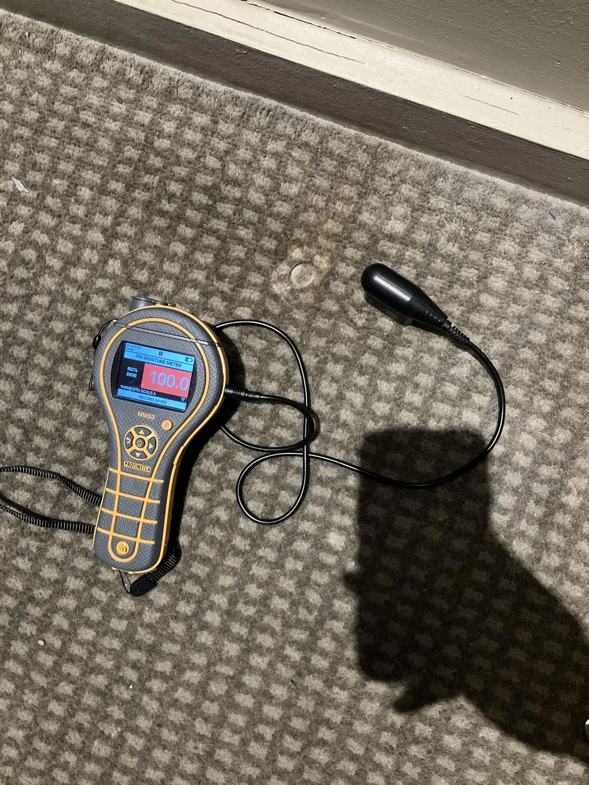 Follow-up carpet check in a Level 6 guest room.