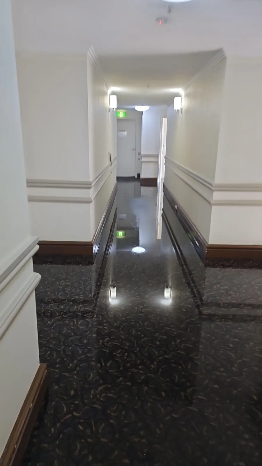 Standing water along the Level 1 corridor.
