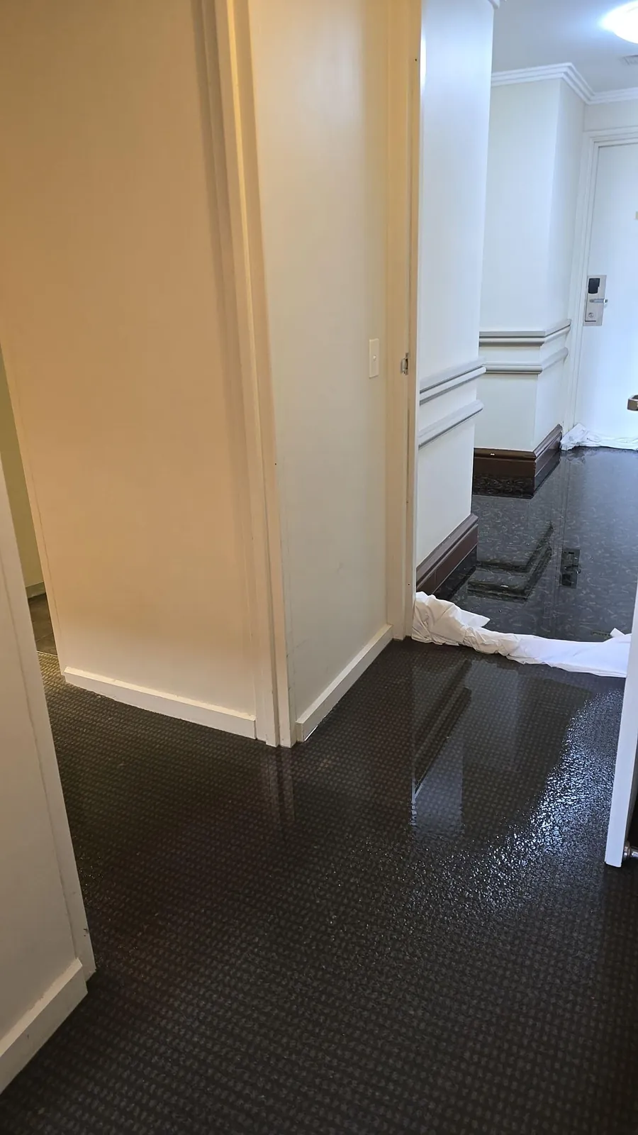 Wet carpet at a Level 1 room entry.