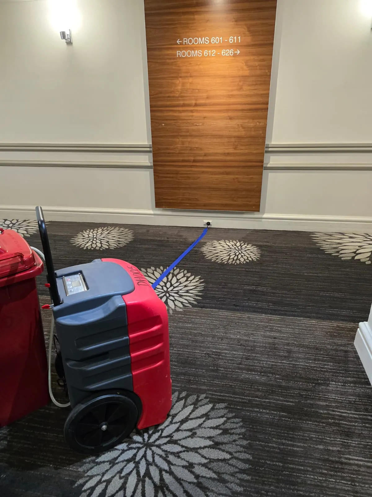 Drying at the Level 6 lift lobby.