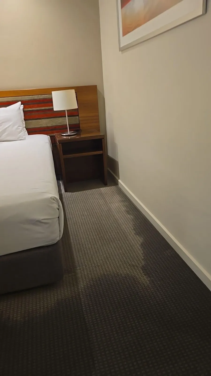 Water tracking along the carpet beside the bed.