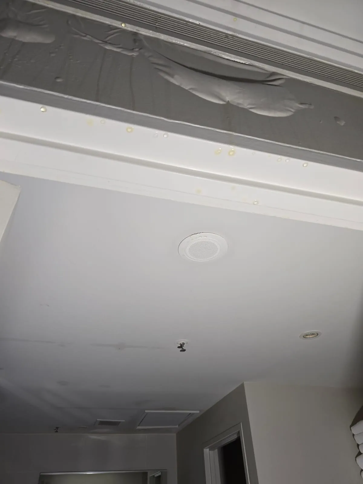Water-damaged plaster ceiling and cornice in a guest room.